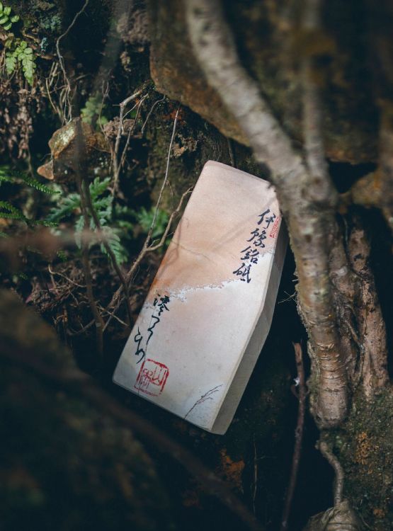 歴史を紡ぎ、命を吹き込み未来を照らす